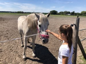 Dagje uit bij Camping Breehees in Goirle