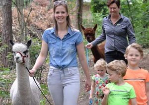 wandelen-met-alpacas