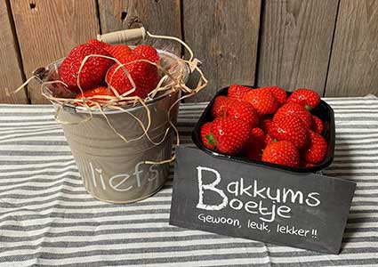 bakkums-boetje-aardbeien
