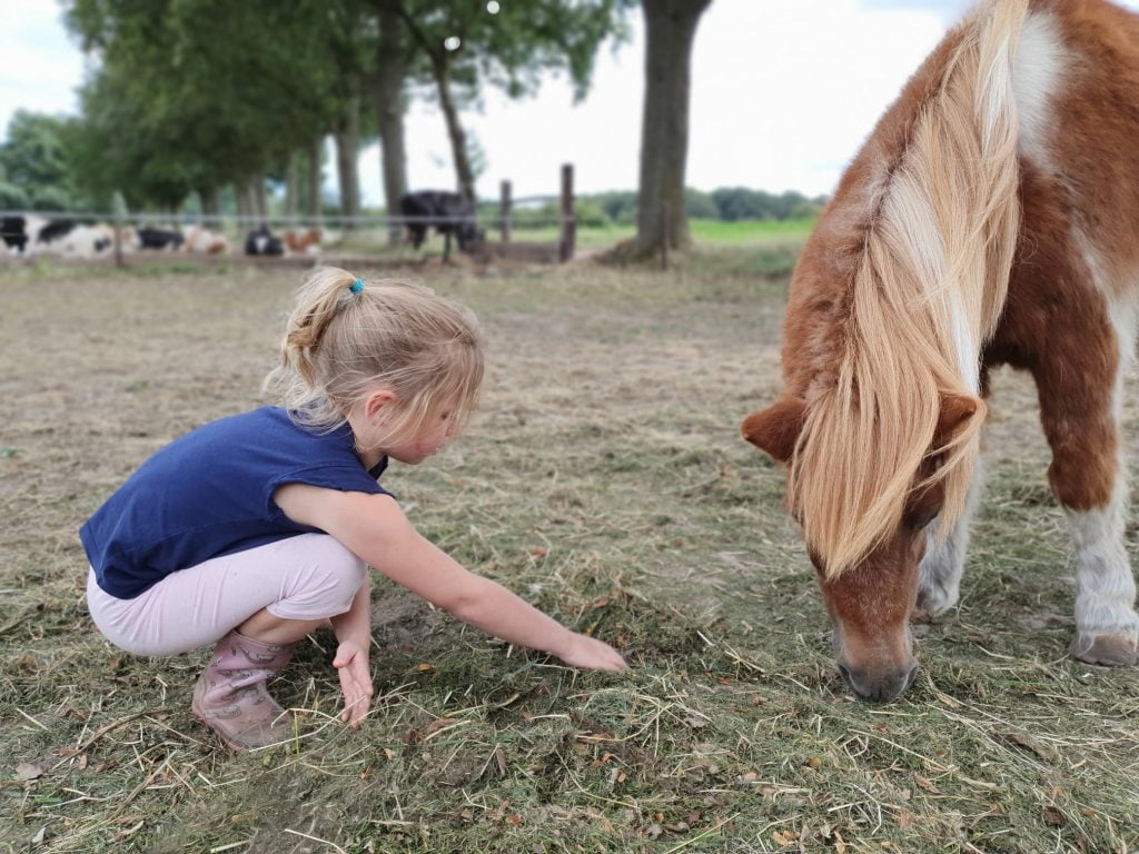 boerderijcamping in de achterhoek