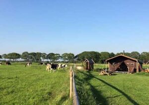 boerenbed-de-kalverweide-drenthe-tent