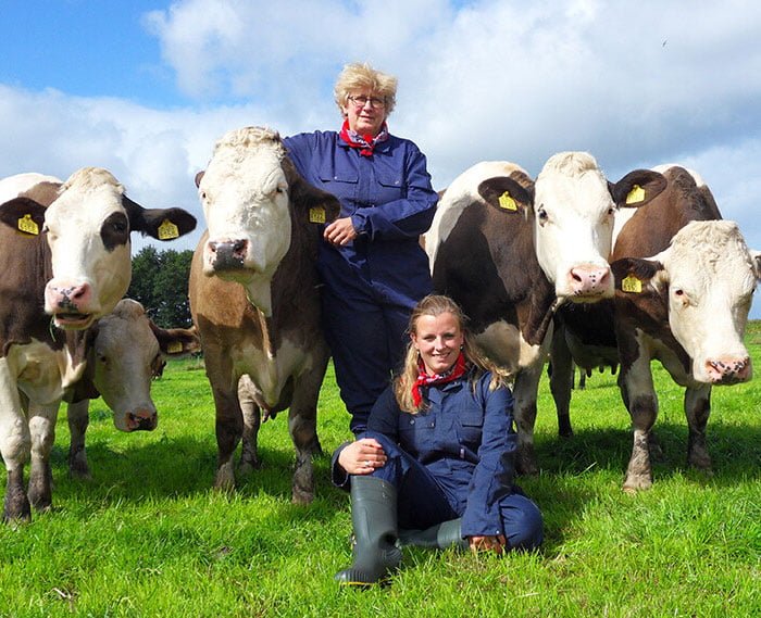 Koeknuffelen in Overijssel | Fotoshoot met koeien | Knuffel koe