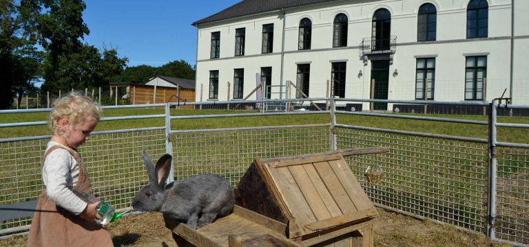 Zoekdeboer logeert bij… Lianko