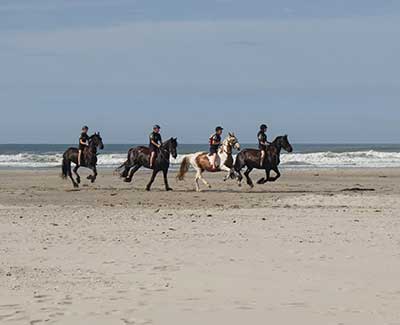 puur-terschelling-paardrijden-op-het-strand