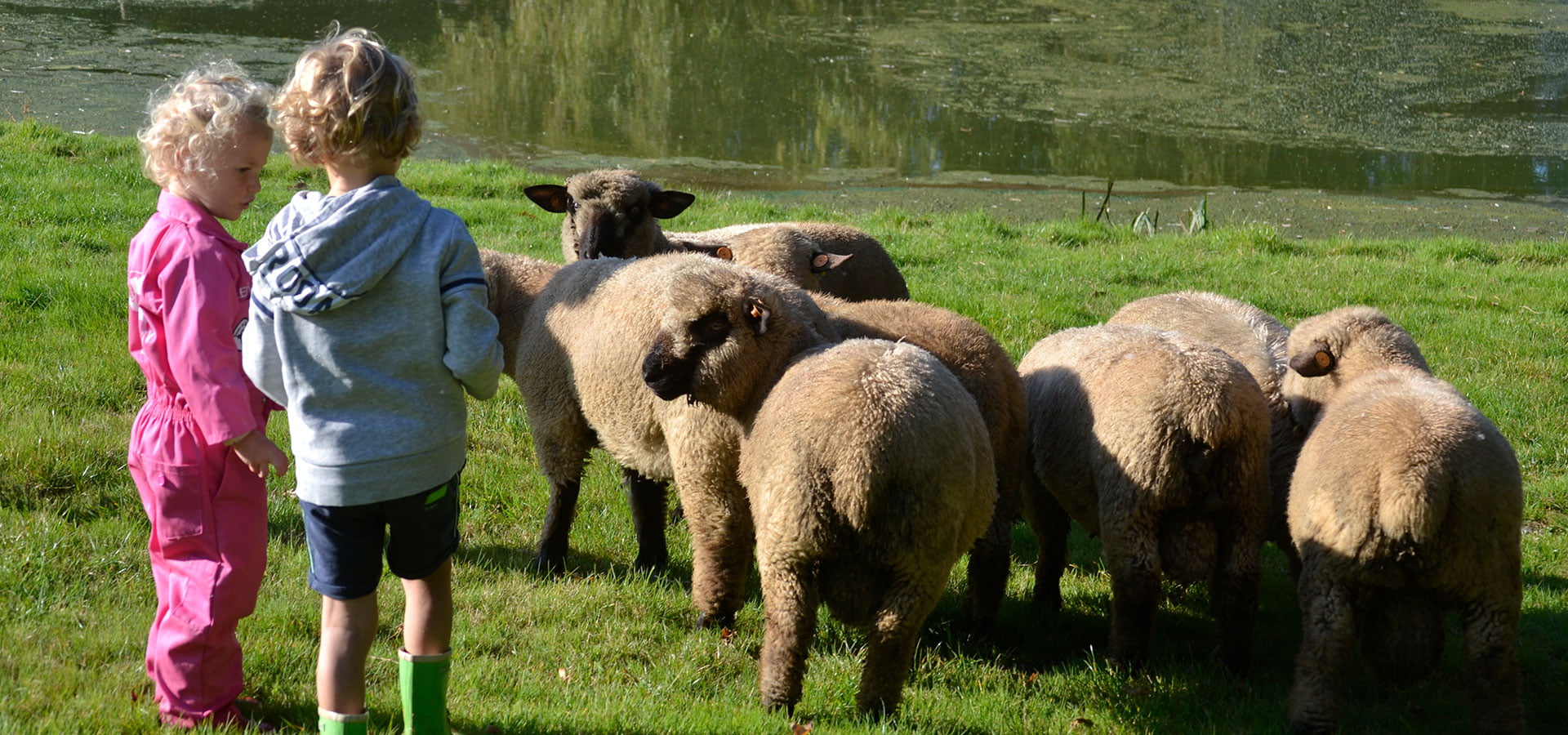 dagjeuit-overijssel-gelderland-drenthe1