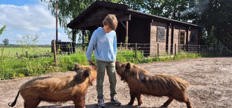 Zoekdeboer logeert bij⦠de Landhoeve op de Veluwe