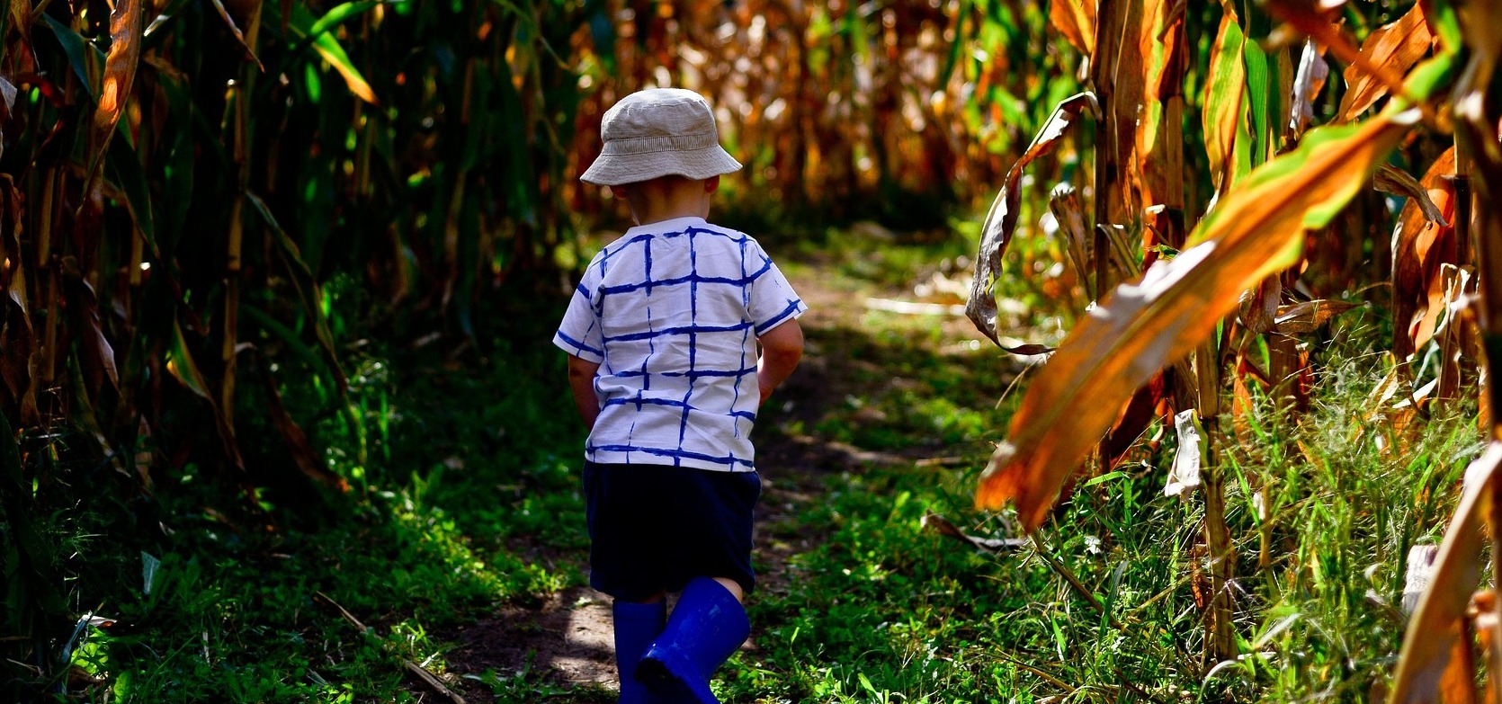 overnachten bij de boer ontdek de voordelen