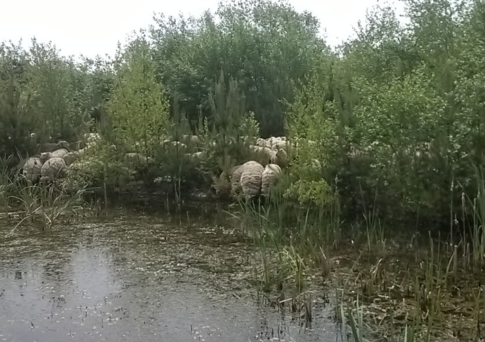 vakantiehuis beatrixhoeve in limburg groepen (2)