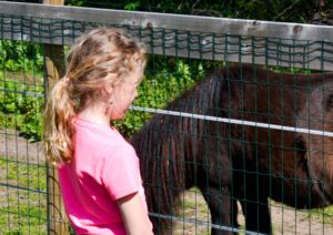 kinderen dieren verzorgen op vakantie