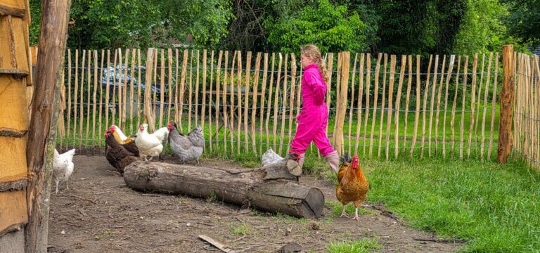 Zoekdeboer logeert bij… FarmCamps Den Branderhorst