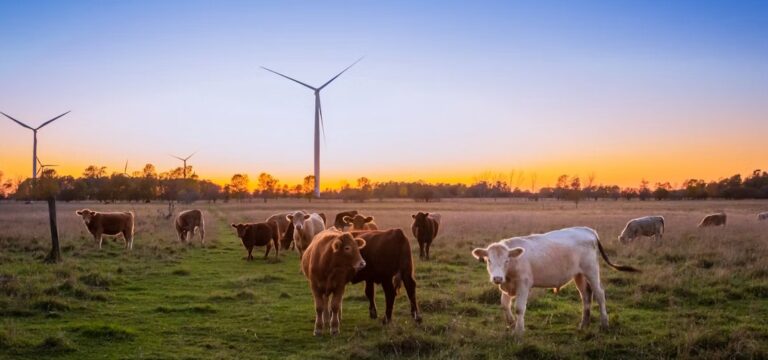 Wat trek je aan voor een dagje buiten op de boerderij?